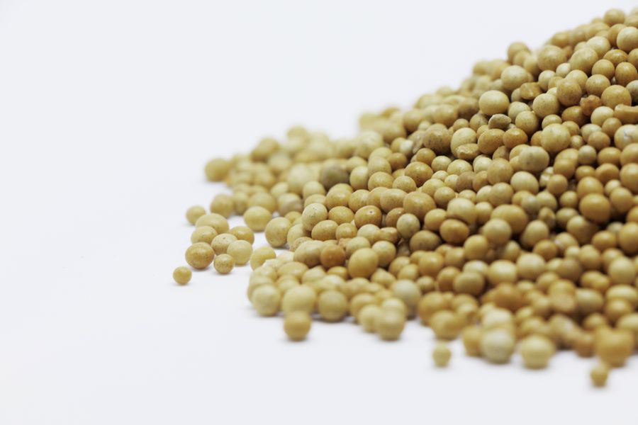 Brown mustard seed