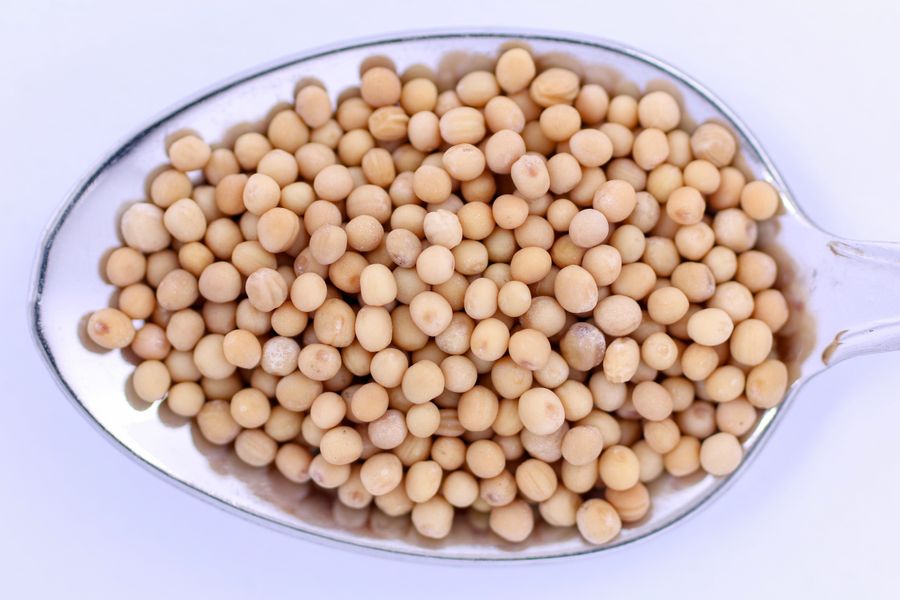 Yellow mustard seed